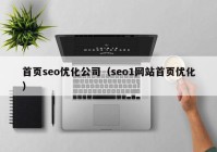 首页seo优化公司（seo1网站首页优化）